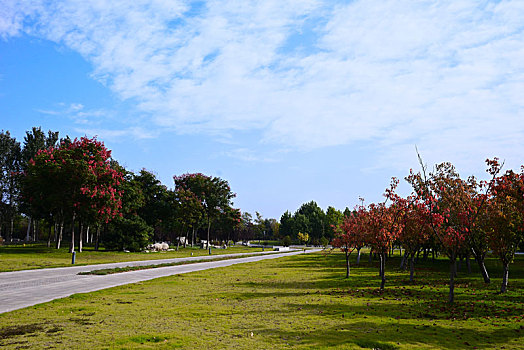 xổ số 888