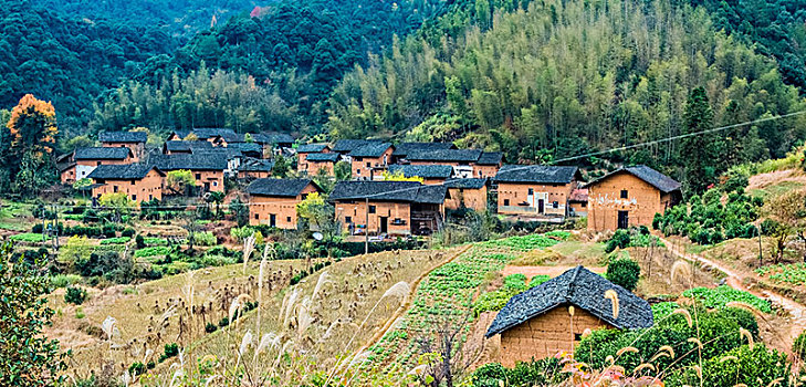 du doan xo so binh dinh