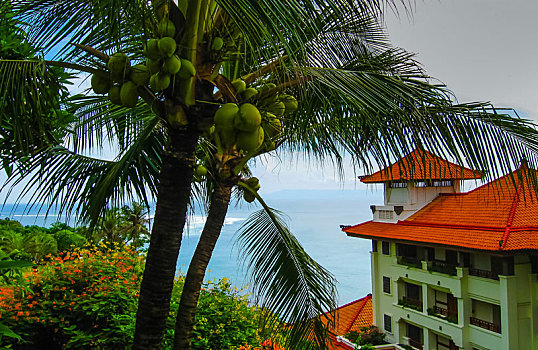 cau lo khung 2 ngay