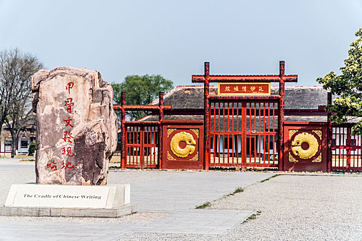 soi câu bạch kim