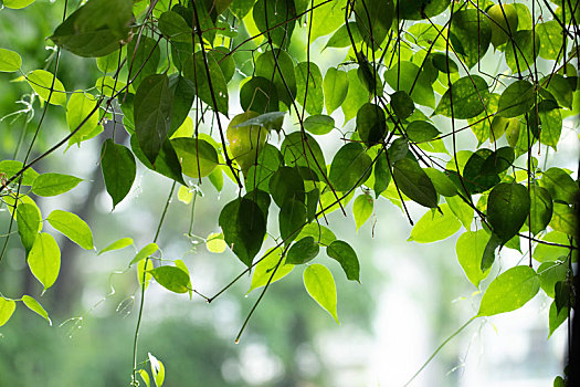 dự đoán lô đề miền nam