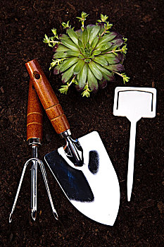 dự đoán xổ số thần tài miền nam