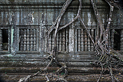 soi cau lo bach thu 8785