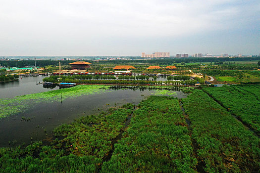 xs mien bắc