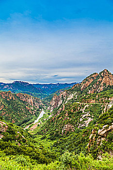 lô gan miền nam