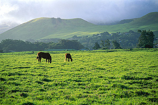 du doan kqxs trung thuong