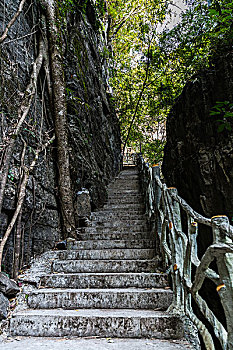 số gia lai