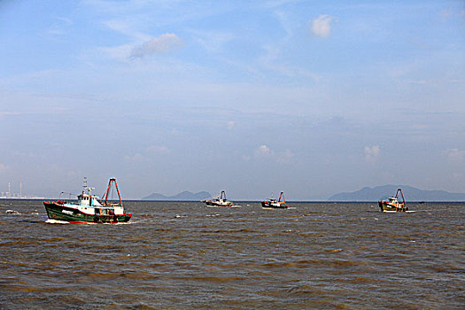 bạch thủ hôm nay