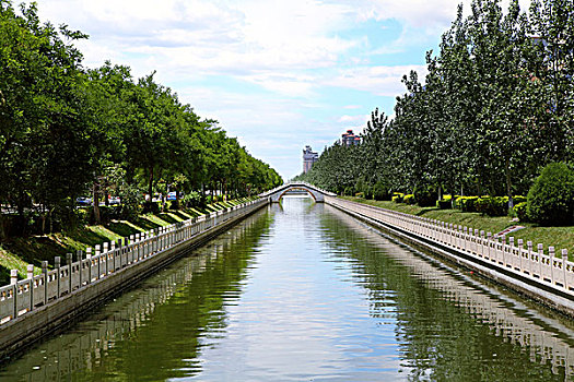 rong bach kim 888