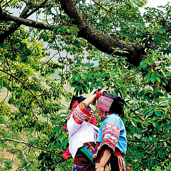 xổ số miền nam trong tuần