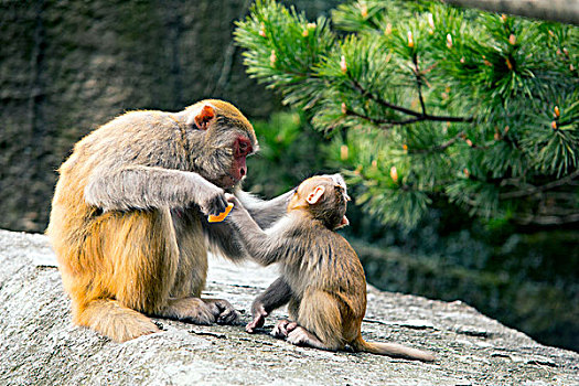 thong ke giai dac biet thang