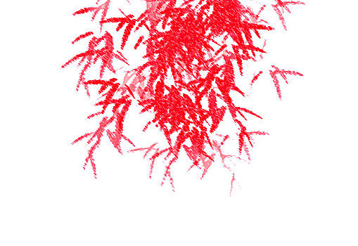 xổ sô hôm nay