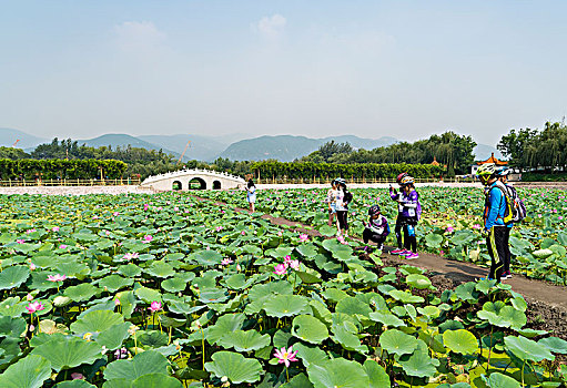xosodongthap