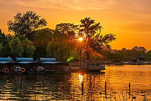 bạch thủ lô đề