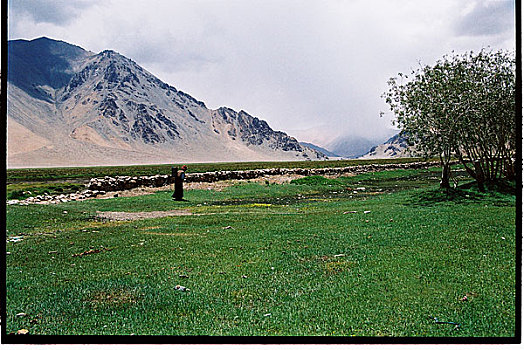 lo bach thu khung 3 ngay 368