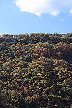 xstgiang