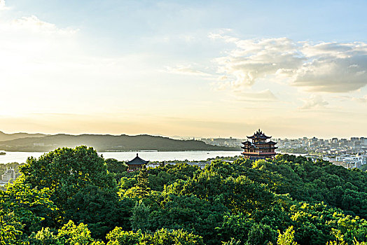 soi cầu bạch kim