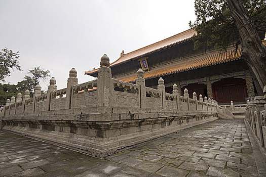thong ke dac biet theo tong