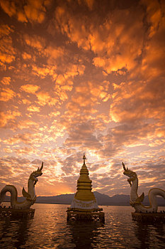soi cau mb rong bach kim 666