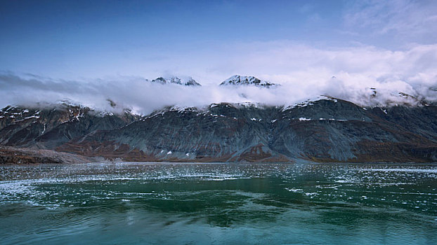 soi cau bach rong kim