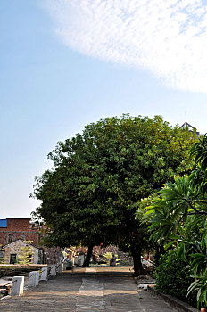 cầu bạch thủ mb