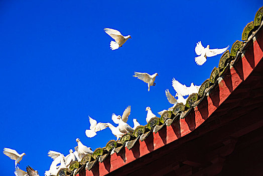 xổ số bình dương