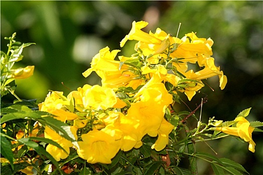 dự đoán xổ số 3 miền