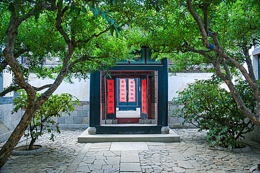 rong bach kim 888 giờ chốt vàng
