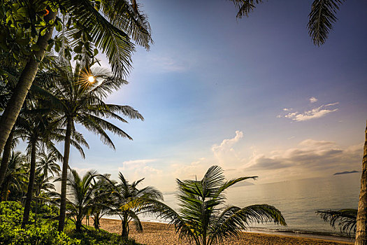 soi cau lo bach thu rong bach kim