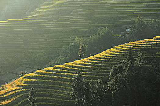 du doan xo so bac trung nam