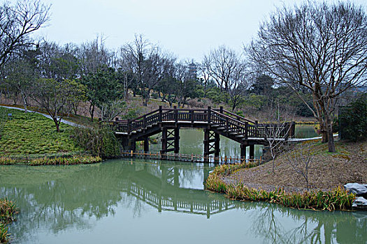xsmb rong bạch kim
