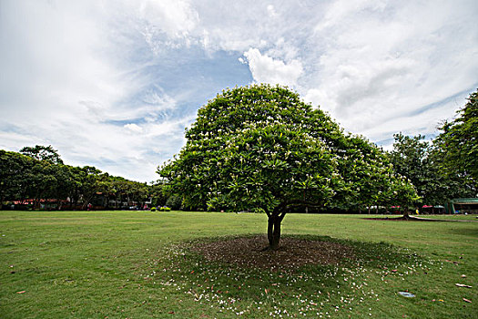 binh luan lo de mien bac