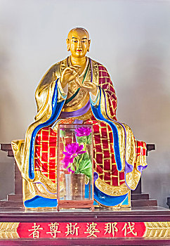 soi cau bach thu lo mien bac