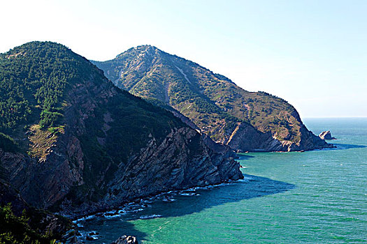 rong vang bach kim