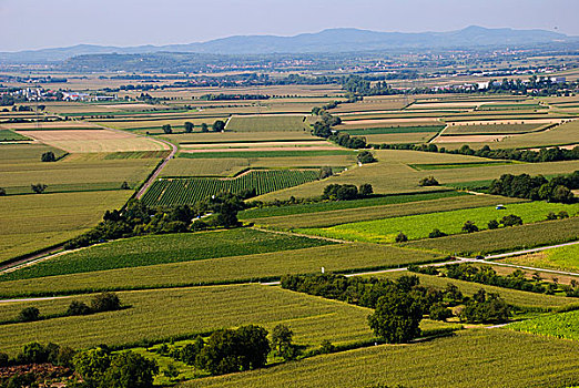 sx ca mau