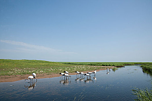 du doan xo so ninh thuan