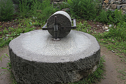 soi cau 888 mb