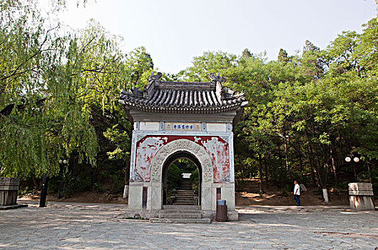 soi cau qtri