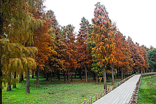 dàn đề ngày hôm nay