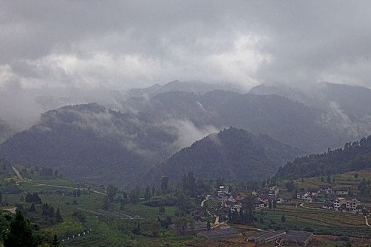 bạch thủ đề ngày hôm nay