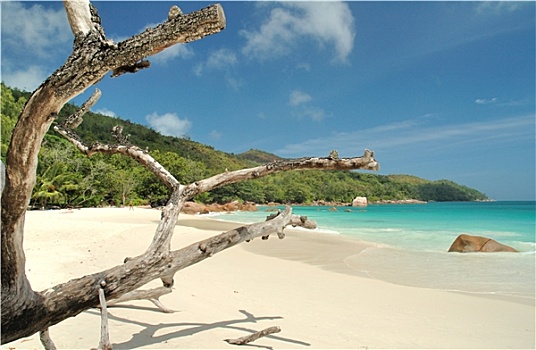 chơi đề trực tuyến