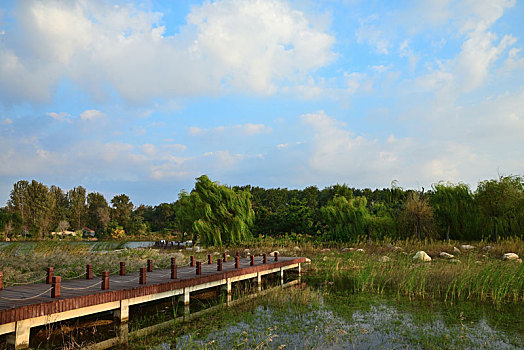 cái số đề