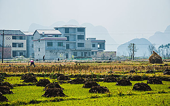 thống kê kết quả vietlott