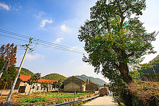 xổ số trực tiếp thành phố