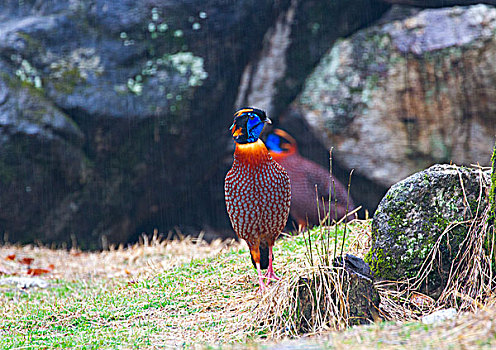số miền bắc hôm qua