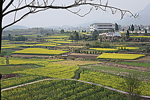 xs an giang hom nay