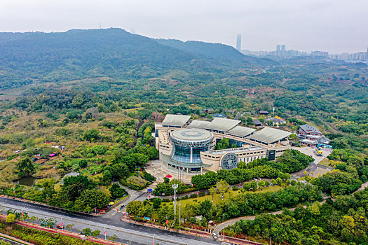 soi cầu thành phố