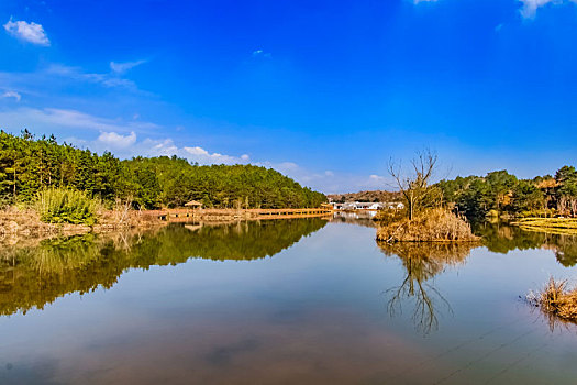 soi cau lo de binh dinh 568