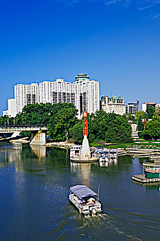 bạch thủ lô miễn phí