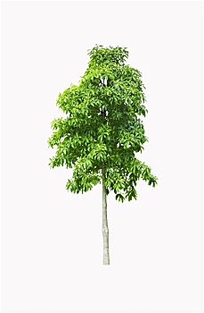 lô đề ngày hôm nay